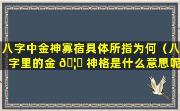 八字中金神寡宿具体所指为何（八字里的金 🦟 神格是什么意思呢）